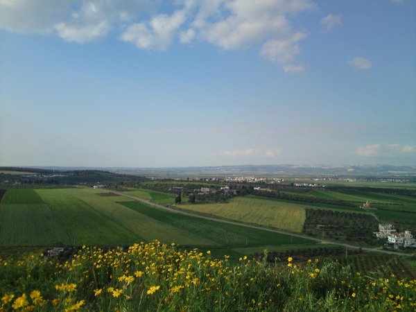  | موسوعة القرى الفلسطينية