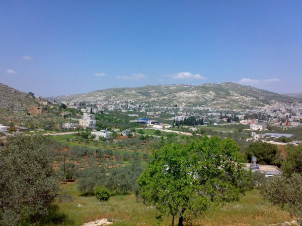 أراضي القرية