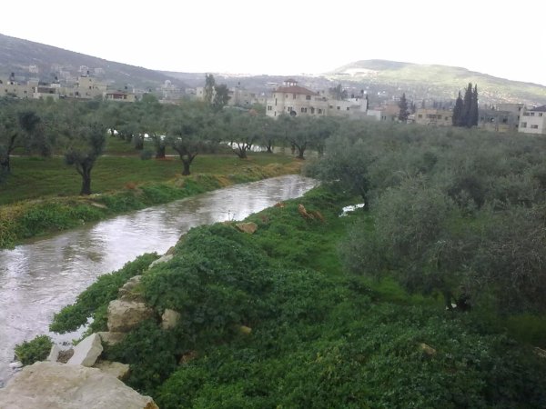 أراضي القرية