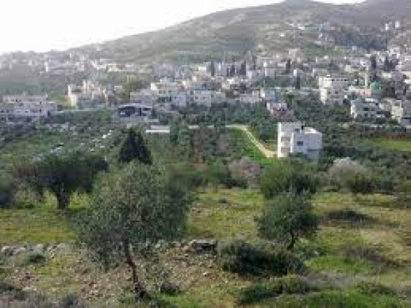 أراضي القرية