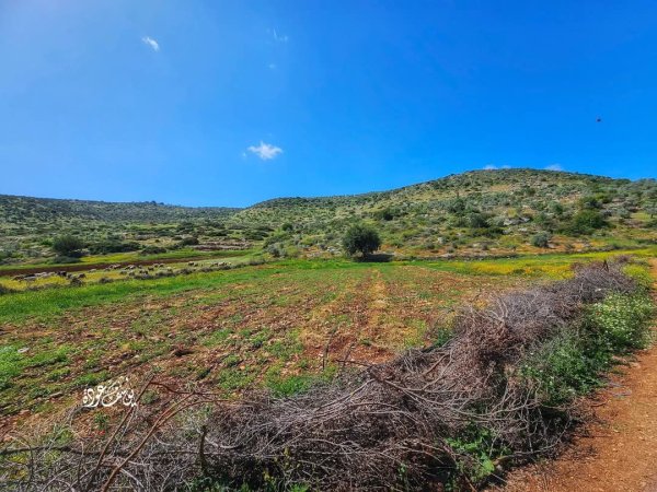  | موسوعة القرى الفلسطينية