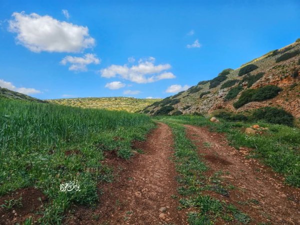  | موسوعة القرى الفلسطينية