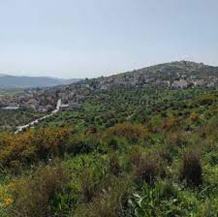 كُفَيْرِتْ/ الكُفَيْرِتْ  | موسوعة القرى الفلسطينية
