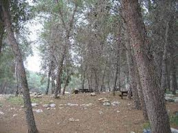  | موسوعة القرى الفلسطينية