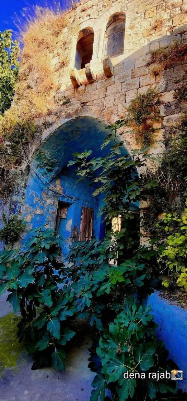 صور البيوت في البلدة بعدسة دينا رجب