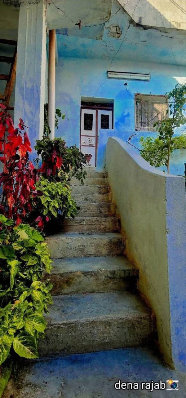 صور البيوت في البلدة بعدسة دينا رجب