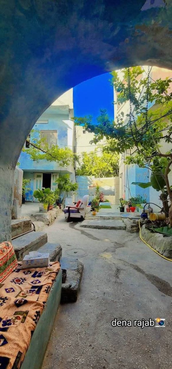 صور البيوت في البلدة