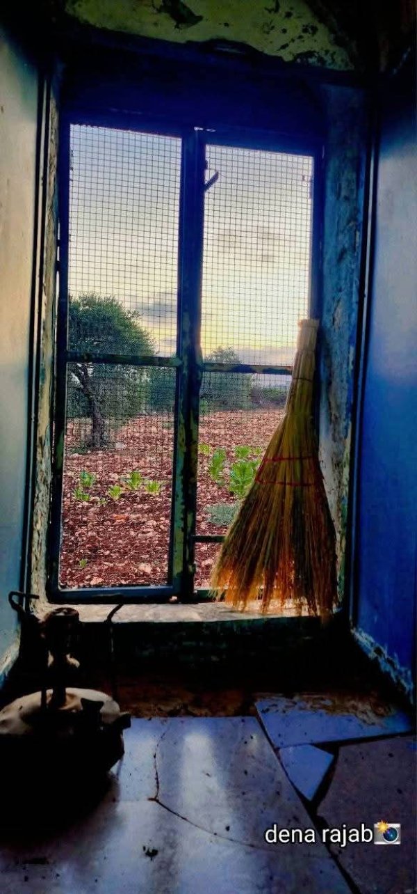 صور البيوت في البلدة بعدسة دينا رجب