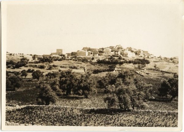 قرية شقبا / رام الله