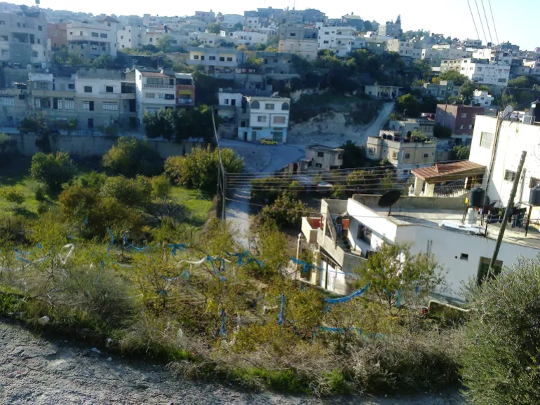 اليامون / جنين