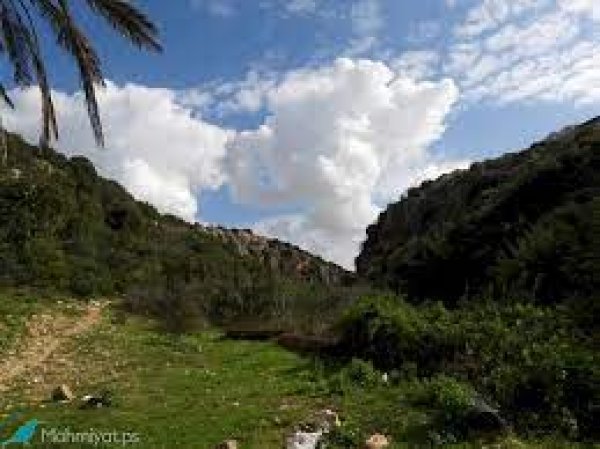  | موسوعة القرى الفلسطينية