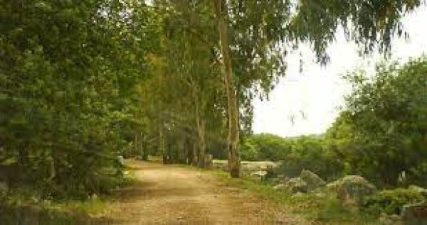  | موسوعة القرى الفلسطينية