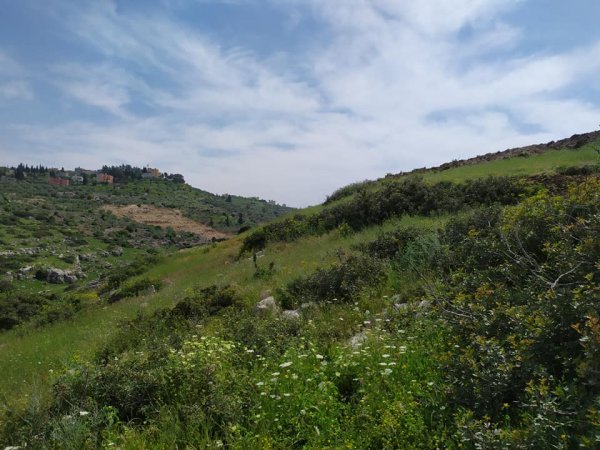 نزلة الشيخ زيد / جنين