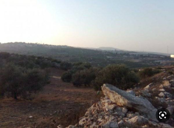 قرية نزلة الشيخ / جنين