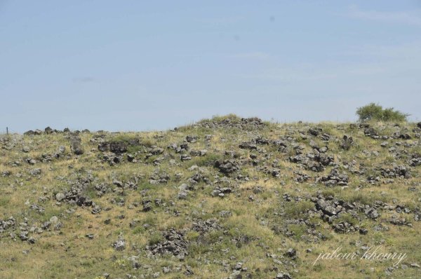 أنقاض المنازل فوق التلة التي كانت عليها منازل الشمالنة، نقلاً عن موقع فلسطين في الذاكرة