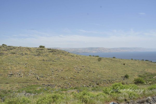 أراضي الشمالنة، وفي الأفق تظهر مرتفعات الجولان، نقلاً عن موقع فلسطين في الذاكرة