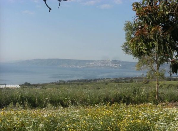 إطلالة من شمال القرية باتجاه بحيرة طبرية نقلاً عن موقع فلسطين في الذاكرة