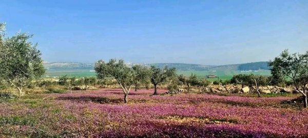 من الكفير وسهل رابا والزبابده، بعدسة: أ. امين خراز