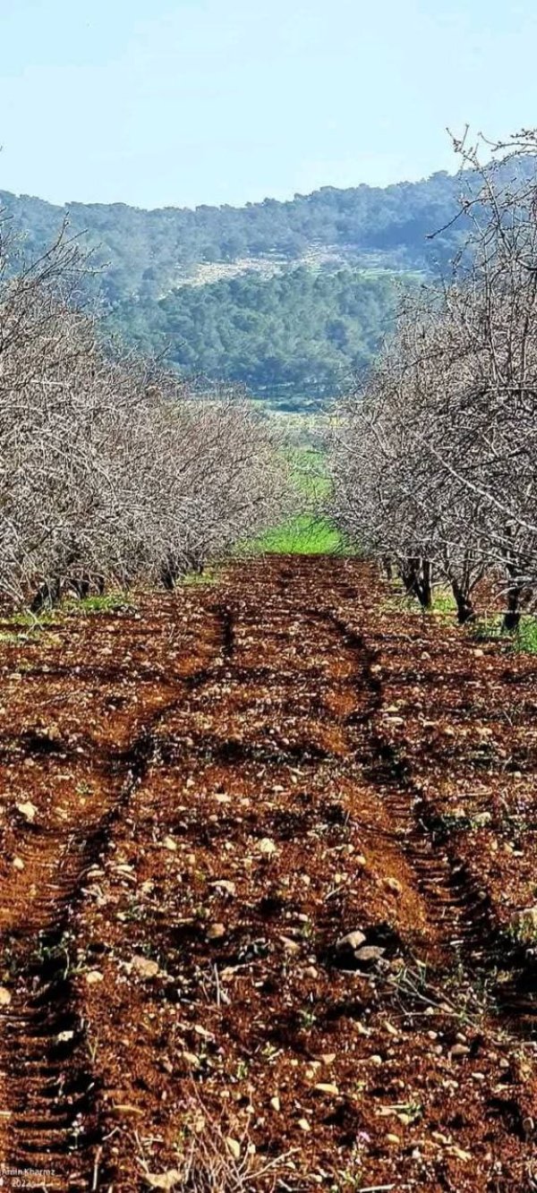 من الكفير وسهل رابا والزبابده، بعدسة: أ. امين خراز