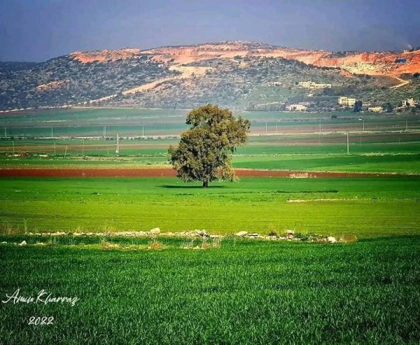 من الكفير وسهل رابا والزبابده، بعدسة: أ. امين خراز