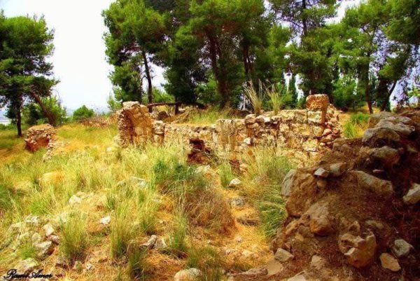 صور حديثة من قرية قولة المهجرة