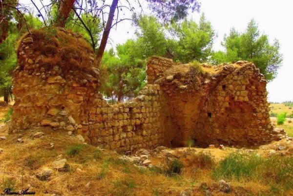 صور حديثة من قرية قولة المهجرة