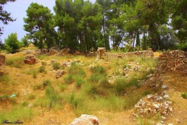 صور حديثة من قرية قولة المهجرة