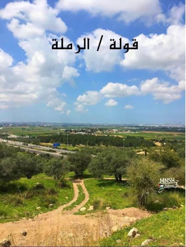 صور حديثة من قرية قولة المهجرة