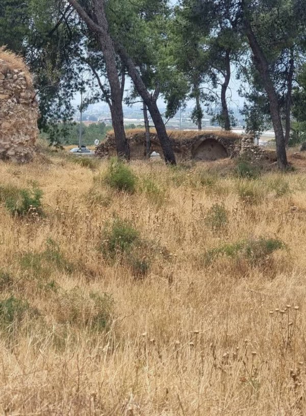 ضور حديثة من أراضي قرية قولة، نقلاً عن صفحة الباحث عادل عامر