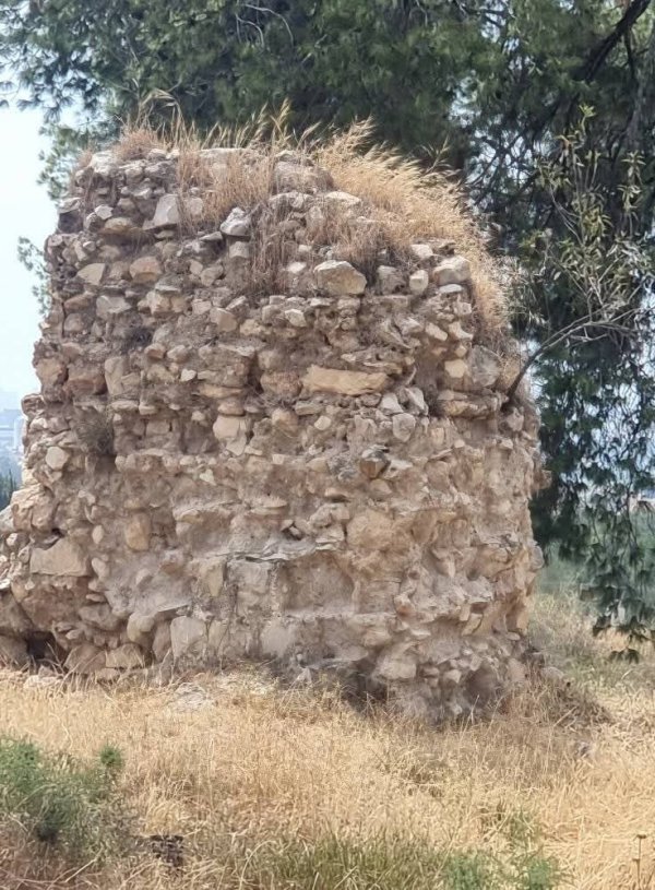 ضور حديثة من أراضي قرية قولة، نقلاً عن صفحة الباحث عادل عامر