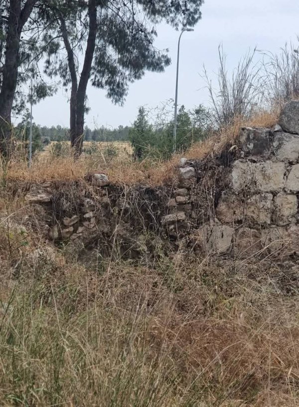 ضور حديثة من أراضي قرية قولة، نقلاً عن صفحة الباحث عادل عامر