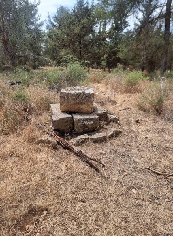 ضور حديثة من أراضي قرية قولة، نقلاً عن صفحة الباحث عادل عامر