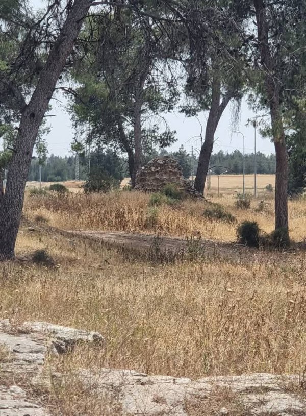 ضور حديثة من أراضي قرية قولة، نقلاً عن صفحة الباحث عادل عامر