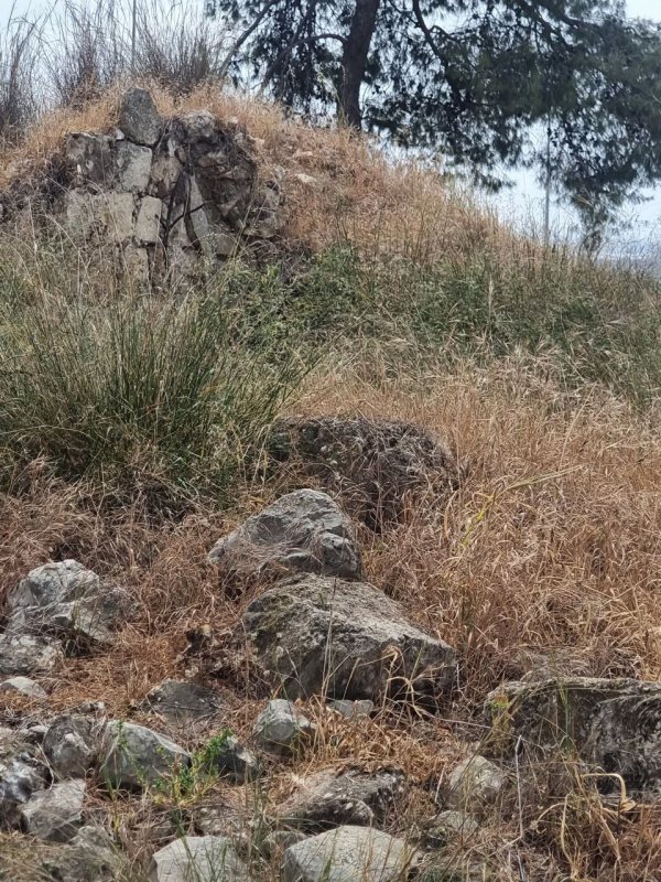 ضور حديثة من أراضي قرية قولة، نقلاً عن صفحة الباحث عادل عامر