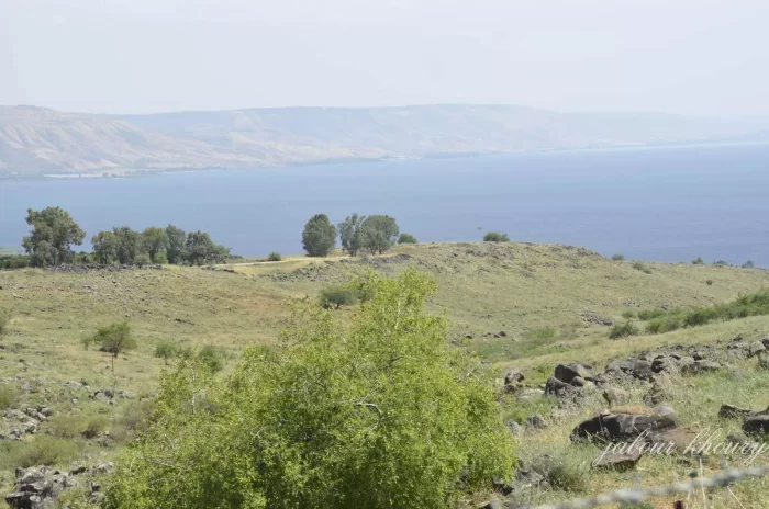 خِرْبَة الشَّطْ/ الشَّطْ