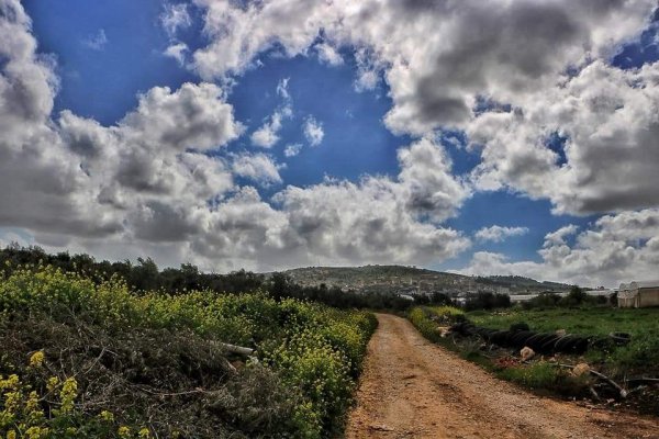  | موسوعة القرى الفلسطينية