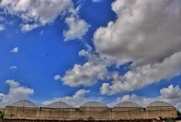  | موسوعة القرى الفلسطينية