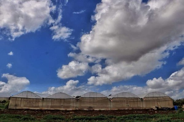  | موسوعة القرى الفلسطينية