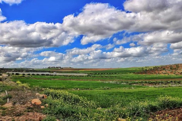  | موسوعة القرى الفلسطينية