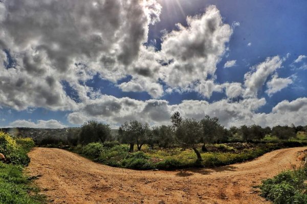  | موسوعة القرى الفلسطينية