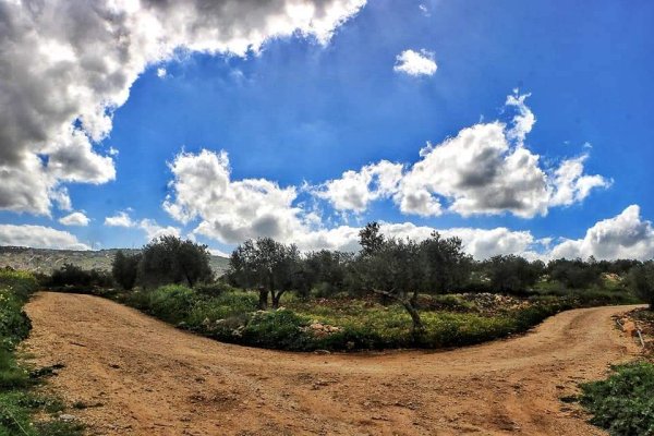  | موسوعة القرى الفلسطينية