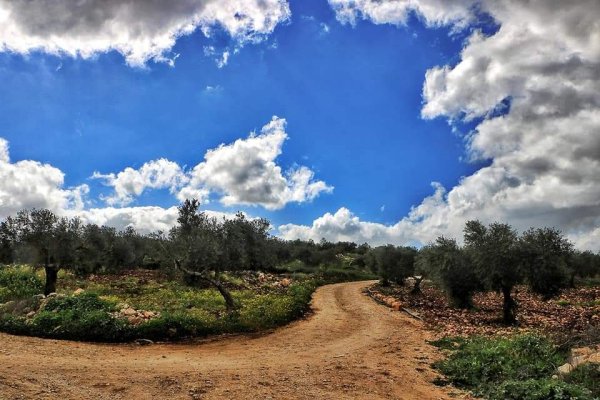  | موسوعة القرى الفلسطينية