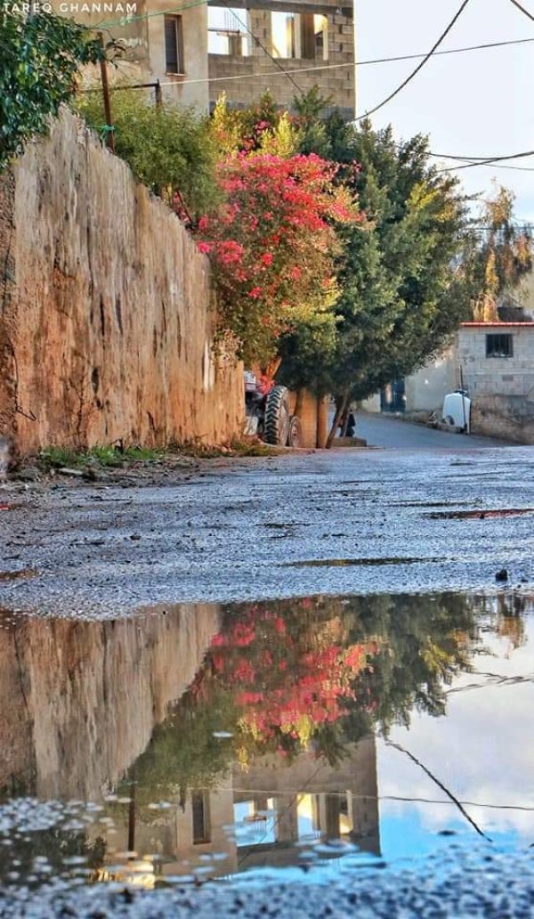  | موسوعة القرى الفلسطينية