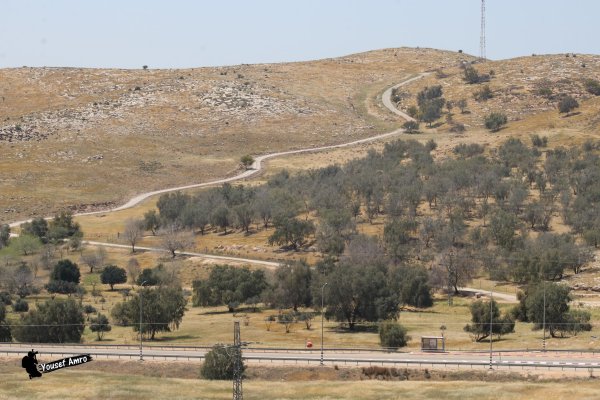 قرية البِرج / دورا