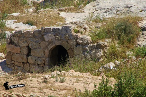 قرية البِرج / دورا