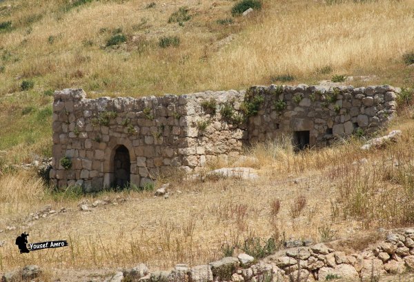 قرية البِرج / دورا