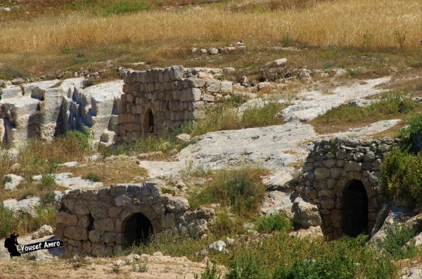 قرية البِرج / دورا
