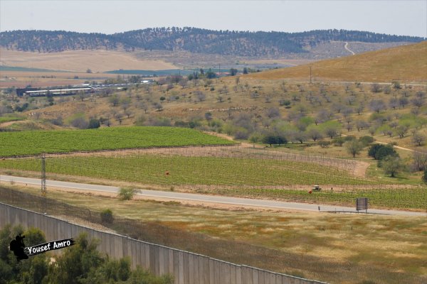 قرية البِرج / دورا