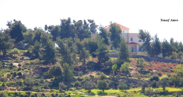  | موسوعة القرى الفلسطينية