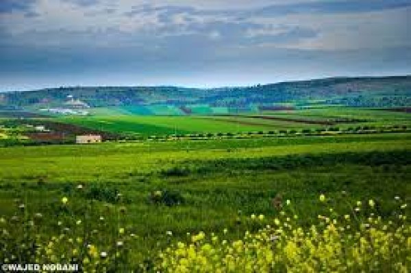  | موسوعة القرى الفلسطينية